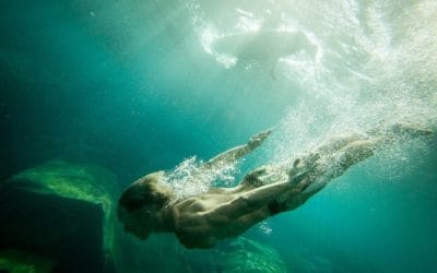 LipoVite- A Deep Dive